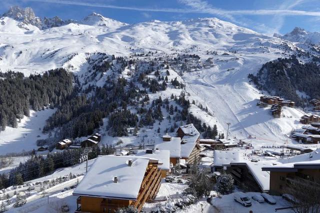 Appartements AIGUILLE DU FRUIT HAUT - Méribel Mottaret 1850