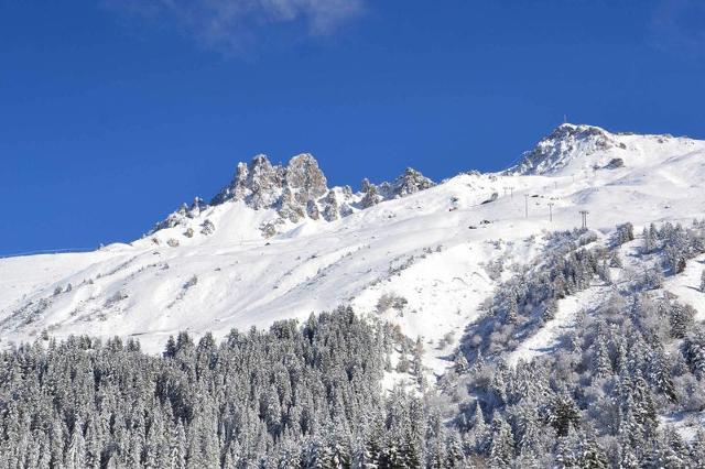 Appartements AIGUILLE DU FRUIT HAUT - Méribel Mottaret 1850