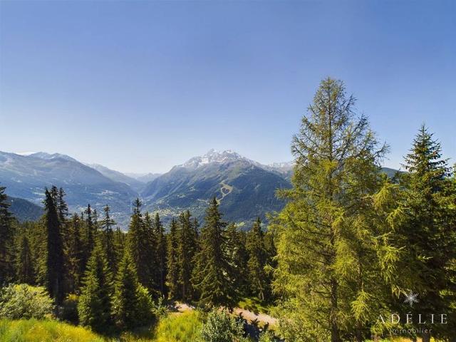 Appartement Le Diamant Des Cimes DIAMANT7 - La Rosière