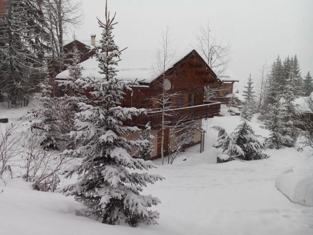 CHALET WOODY WOOD - La Tania