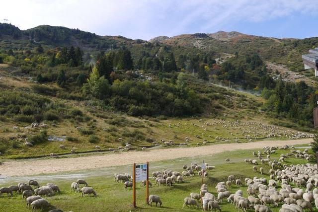 Appartement Candide MO-CDEC12 - Méribel Les Allues 1200