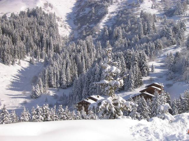 Appartement Grand Dou MO-GRDA15 - Méribel Les Allues 1200