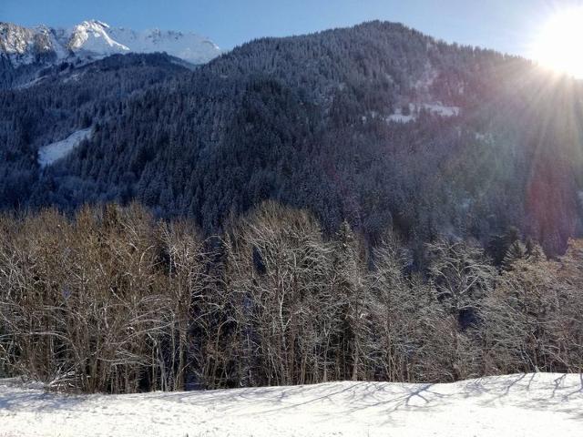 Appartement Les Terrasses De La Vanoise CHA-TERB01 - Plagne - Champagny en Vanoise