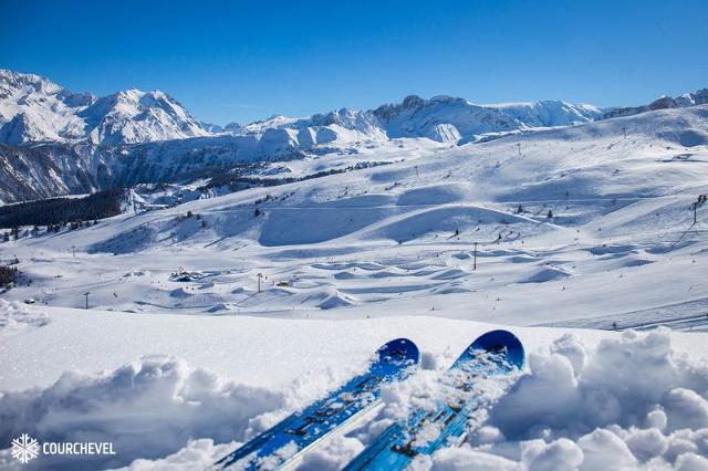 Appartements LE GRAND BOIS A - La Tania