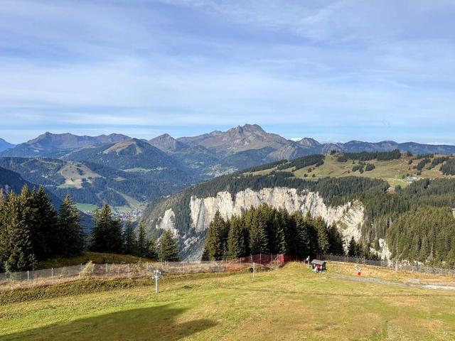 Agréable 2 pièces avec balcon, internet, ménage et linge inclus FR-1-634-102 - Avoriaz