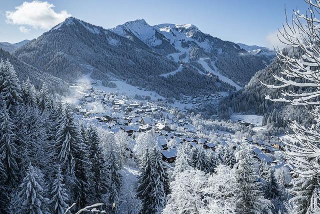 Studio Alpenlake AP110 LAC & NATURE 4 Pers - Châtel