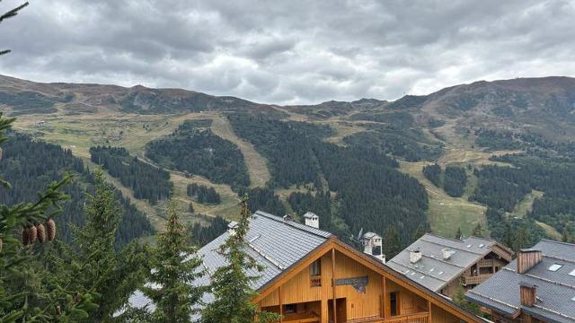 Appartements LES MYOSOTIS - Méribel Les Allues 1200