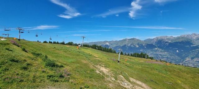 Appartements LES HAUTS BOIS - Plagne - Aime 2000