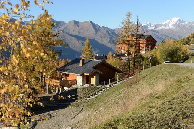 CHALET DE VALLANDRY - Vallandry