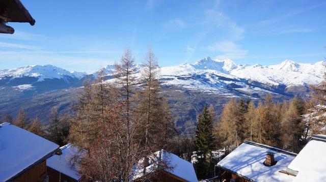 CHALET DE VALLANDRY - Vallandry