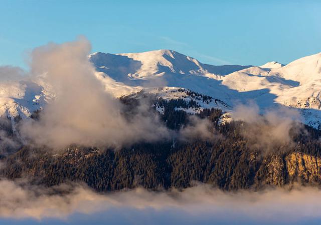 Grand Studio Maroly - Courchevel 1850