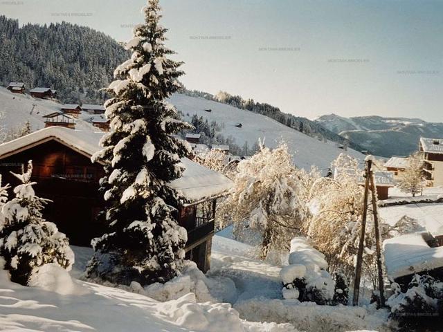 Spacieux 2 pièces au Chinaillon pour 5 personnes, balcons FR-1-458-211 - Le Grand Bornand