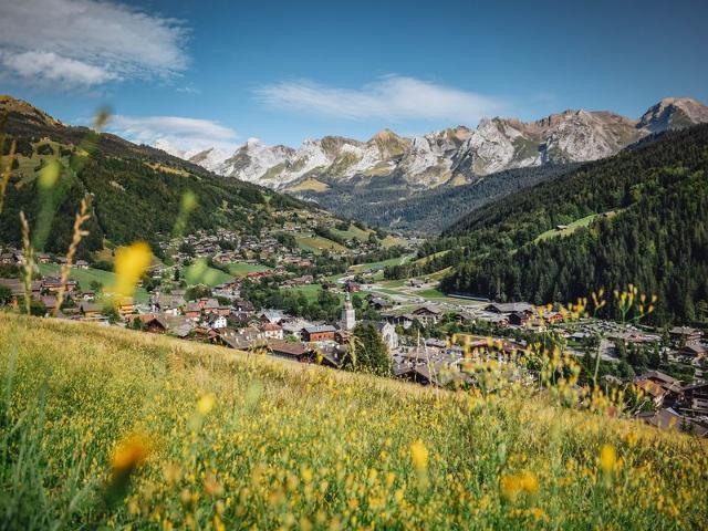 Studio chaleureux avec accès bien-être, proche centre et pistes, Le Grand-Bornand Village FR-1-467-34 - Le Grand Bornand