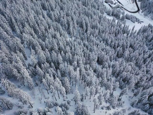 Chalet neuf à Courchevel 1850, prêt pour 6 avec ski aux pieds et wifi! FR-1-575-233 - Courchevel 1850