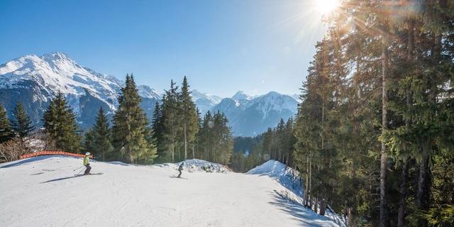 CHALET DES REVES - Plagne - Champagny en Vanoise