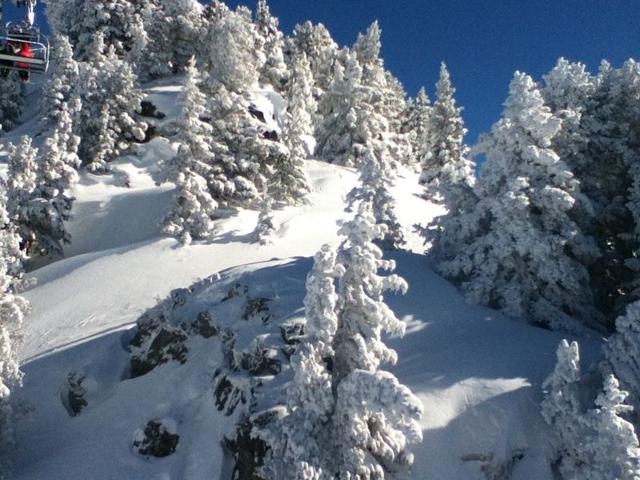 Superbe studio rénové au cœur de Chamrousse, à 50m des pistes FR-1-340-285 - Chamrousse