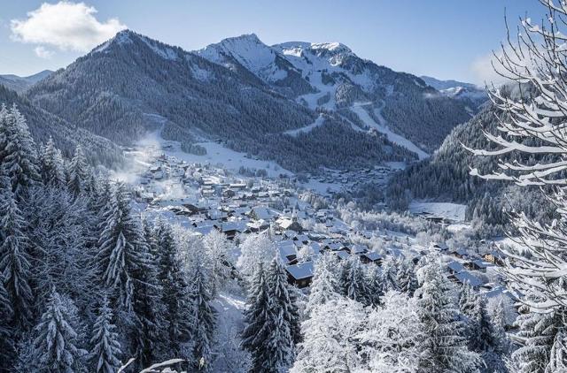 Studio Alpenlake AP122 VIEW & NATURE 4 Pers. - Châtel