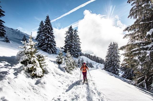 Studio Orchidée OD5 NATURE & TELECABINE 4 pers. - Châtel