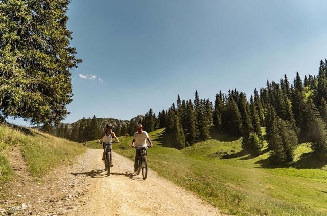 Studio Orchidée OD5 NATURE & TELECABINE 4 pers. - Châtel