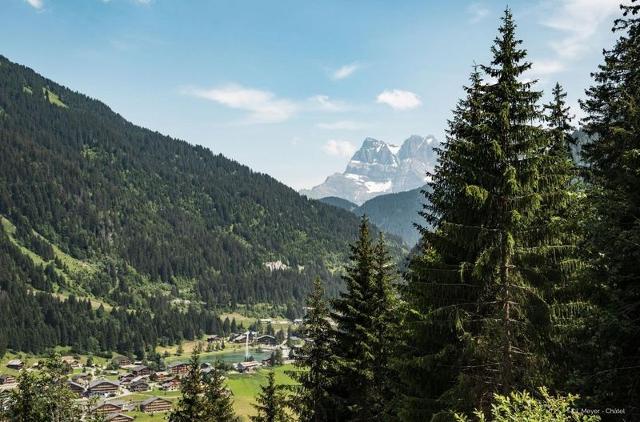 Studio Orchidée OD5 NATURE & TELECABINE 4 pers. - Châtel