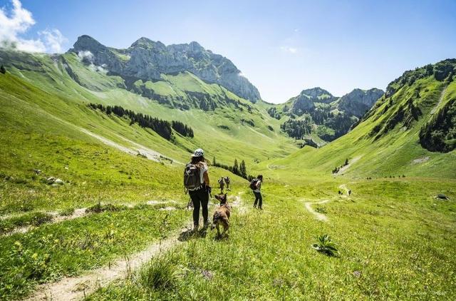 Studio Orchidée OD5 NATURE & TELECABINE 4 pers. - Châtel