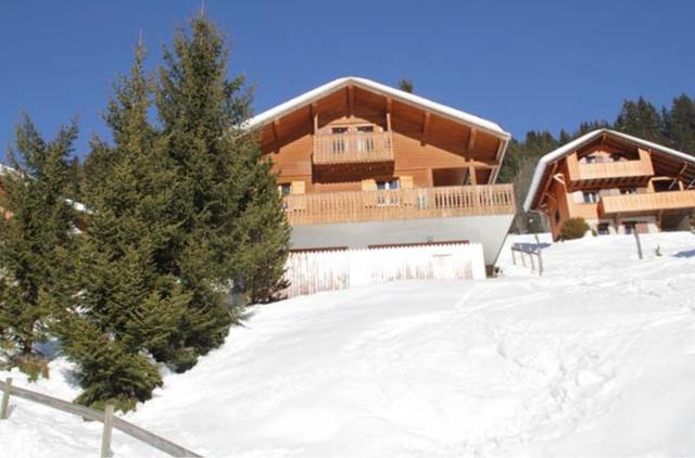 Chalet CHALET MORCLAN MCL6 NATURE & VIEW 8 Pers. - Châtel