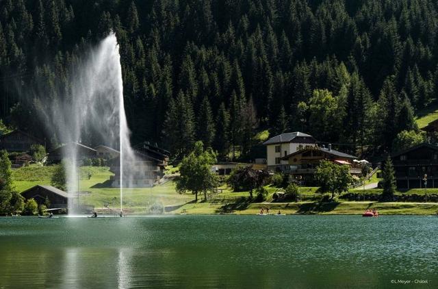 Studio VIOLETTES VL2 TELECABINE & NATURE 4 Pers. - Châtel