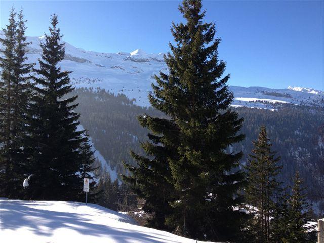 Appartements BELIER - Flaine Forêt 1700