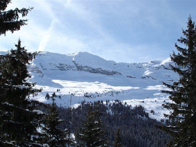 Appartements CASTOR - Flaine Forêt 1700