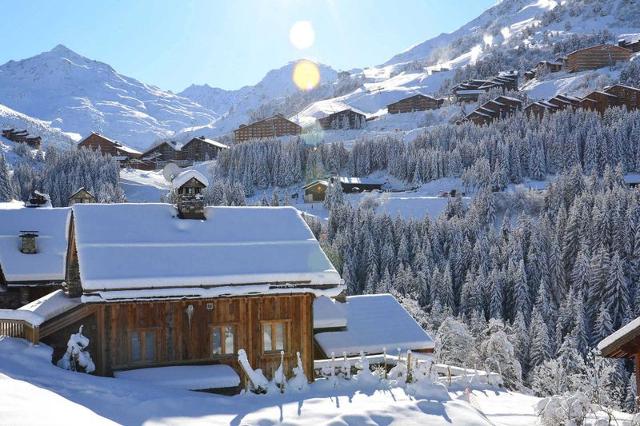 Appartements GRANDE ROSIERE - Méribel Mottaret 1850