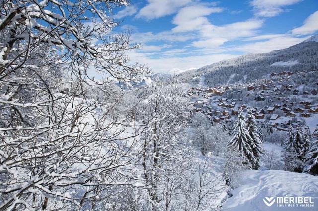 Appartements GRANDE ROSIERE - Méribel Mottaret 1850