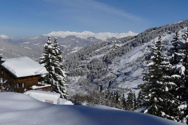 Appartements VANOISE - Méribel Mottaret 1850