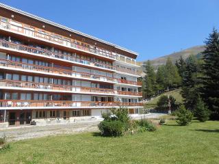 Appartements MIDI - Les Deux Alpes Venosc