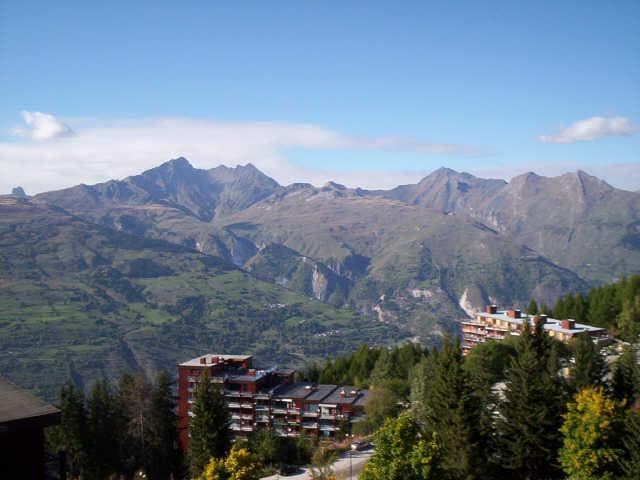 Armoise 49305 - Les Arcs 1800