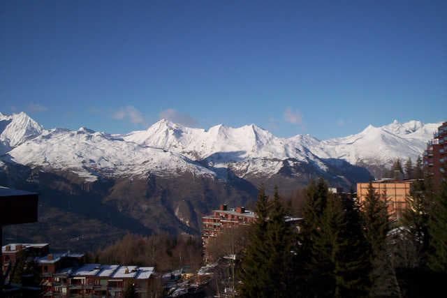 Armoise 49319 - Les Arcs 1800