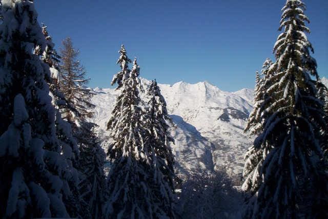 Lauzières 49244 - Les Arcs 1800