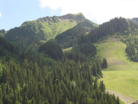 Résidence AZALEE - Châtel