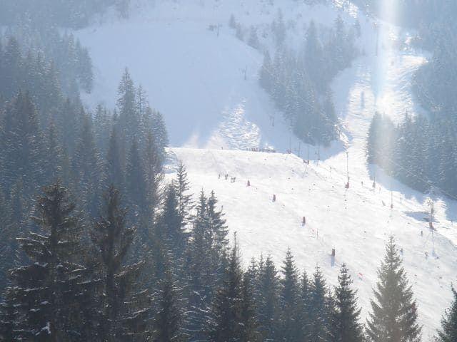 Chalet du PERTHUIS - Châtel