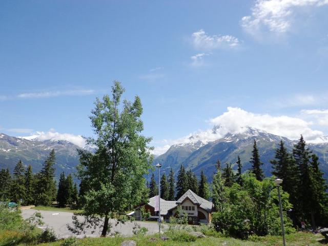 Les Bouquetins B - La Rosière