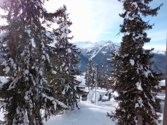 Les Bouquetins B - La Rosière