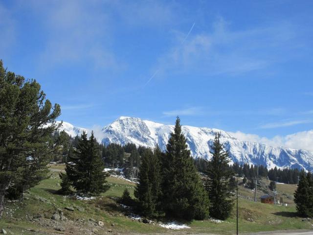 Studio Chamrousse, 1 pièce, 4 personnes - Chamrousse