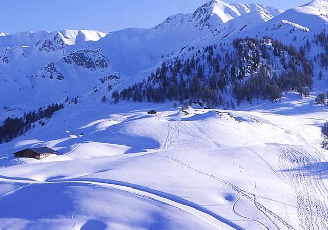 Résidence répartie Aime 2000 - VP - Plagne - Aime 2000