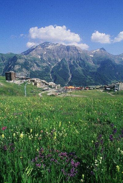 Appartement Rond-Point-Pistes I 101A.SIGI - Orcières Merlette 1850