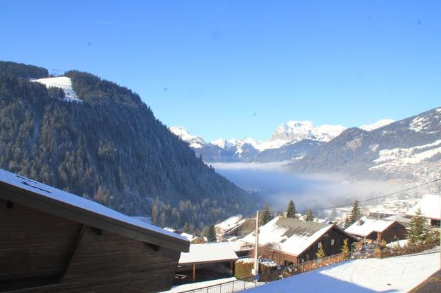 Appartements LE JORAN - Châtel