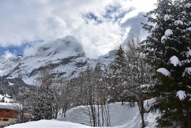 GRAND CHALET - Pralognan la Vanoise