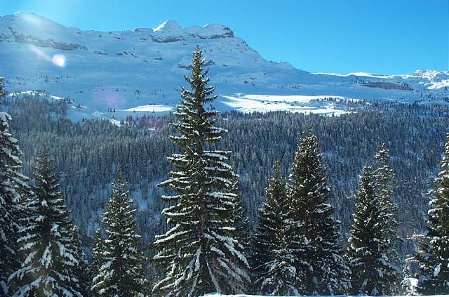 Appartement Andromede B707 - Flaine Forêt 1700