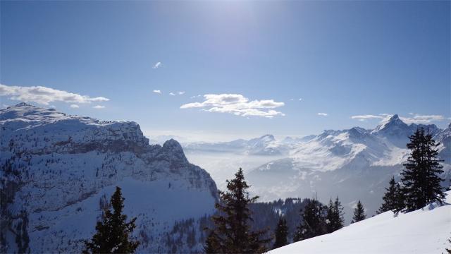 Appartement Castor 131 - Flaine Forêt 1700