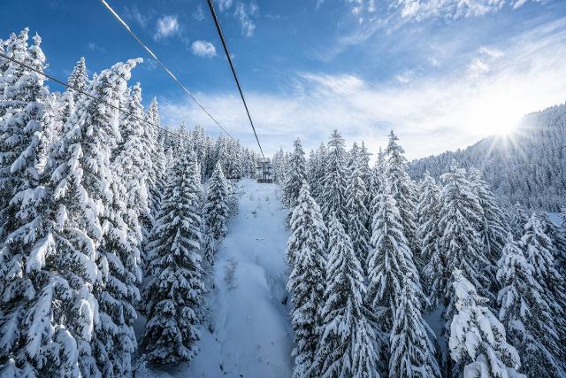 Appartement Vanoise VAN315 - La Rosière