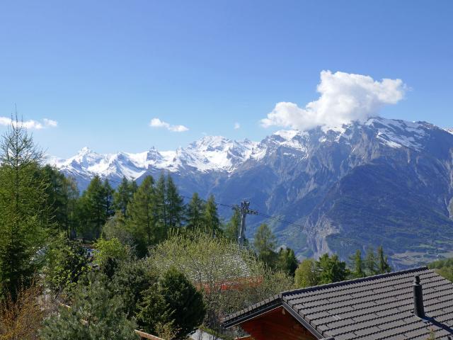 Chalet 4 pièces 6 personnes Confort CH1961.70.1 - Nendaz