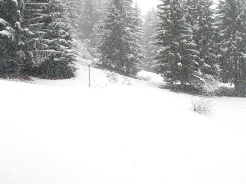 Appartements Lauzières - Les Arcs 1800